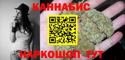 амф Гатчина