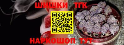 амф Гатчина