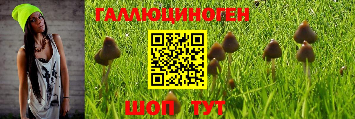 Галлюциногенные грибы Magic Shrooms  дарнет шоп  Вход с VPN  Новочеркасск  Псилоцибиновые грибы Psilocybine cubensis 